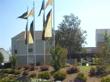 Falcon Lair Apartments Home Banner